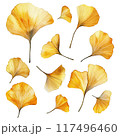 水彩タッチのいちょうの葉セット 117496460
