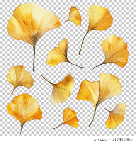 水彩風格銀杏葉套裝 117496460