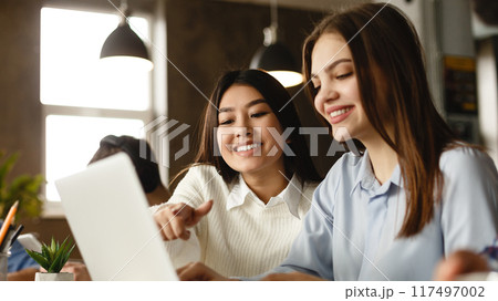 Education concept. Happy students with laptop networking in library, free space 117497002