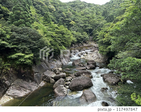The Jomonsugi, Yakushima, is a giant cedar tree oldest tree. Trekking route from the Arakawa trailhead to Takatsuka hut. 117497847