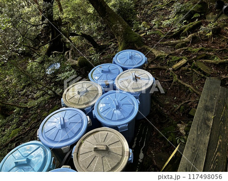 The Jomonsugi, Yakushima, is a giant cedar tree oldest tree. Trekking route from the Arakawa trailhead to Takatsuka hut. The Jomonsugi, Yakushima, is a giant cedar tree oldest tree. Trekking route from the Arakawa trailhead to Takatsuka hut. 117498056