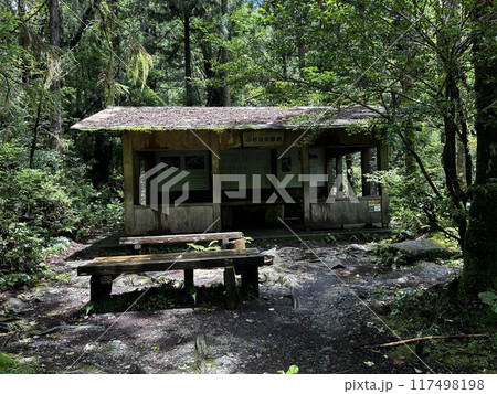 The Jomonsugi, Yakushima, is a giant cedar tree oldest tree. Trekking route from the Arakawa trailhead to Takatsuka hut. The Jomonsugi, Yakushima, is a giant cedar tree oldest tree. Trekking route from the Arakawa trailhead to Takatsuka hut. 117498198