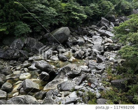 The Jomonsugi, Yakushima, is a giant cedar tree oldest tree. Trekking route from the Arakawa trailhead to Takatsuka hut. 117498206