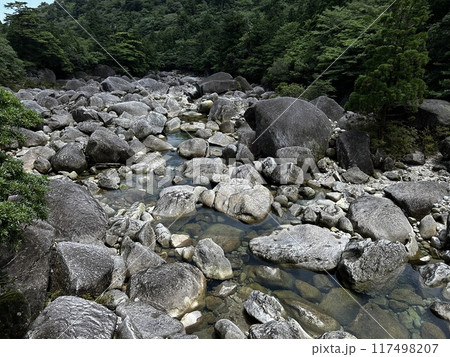The Jomonsugi, Yakushima, is a giant cedar tree oldest tree. Trekking route from the Arakawa trailhead to Takatsuka hut. 117498207