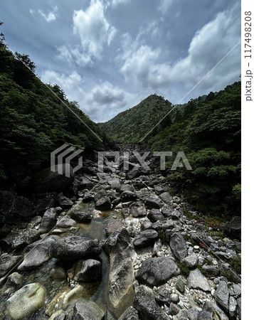 The Jomonsugi, Yakushima, is a giant cedar tree oldest tree. Trekking route from the Arakawa trailhead to Takatsuka hut. 117498208