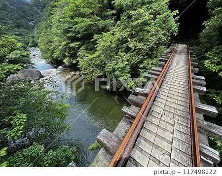 The Jomonsugi, Yakushima, is a giant cedar tree oldest tree. Trekking route from the Arakawa trailhead to Takatsuka hut. The Jomonsugi, Yakushima, is a giant cedar tree oldest tree. Trekking route from the Arakawa trailhead to Takatsuka hut. 117498222