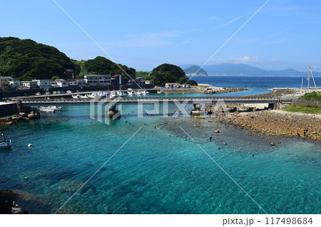 柏島の海、澄んだ水面と豊かな自然 117498684