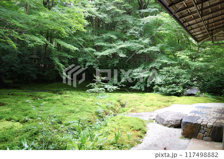瑠璃光院　叡山電鉄　京都市左京区　八瀬比叡山口駅　夏季限定　参拝　参拝客　青紅葉　インバウンド 117498882