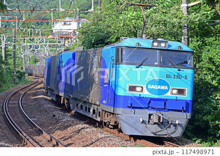 東海道本線 根府川ー早川 JR貨物 M250系 Mc250-5(大井) 東海道本線 根府川ー早川 JR貨物 M250系 Mc250-5(大井) 117498971