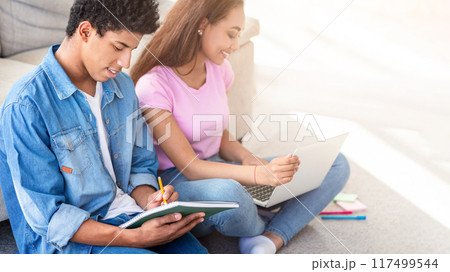 Black teen couple sits on the floor in their home, focused on their studies. The guy is writing in a notebook, while the girl is using a laptop. Black teen couple sits on the floor in their home, focused on their studies. The guy is writing in a notebook, while the girl is using a laptop. 117499544