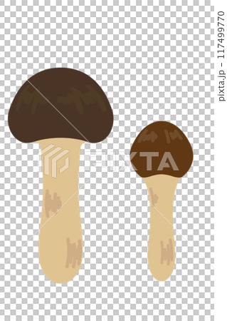 Illustration of simple matsutake mushrooms Illustration of simple matsutake mushrooms 117499770