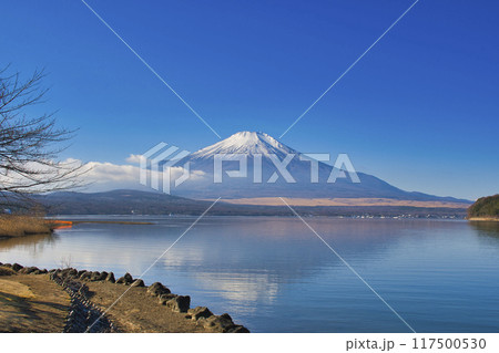 【山梨県】山中湖から眺める冬の富士山 【山梨県】山中湖から眺める冬の富士山 117500530