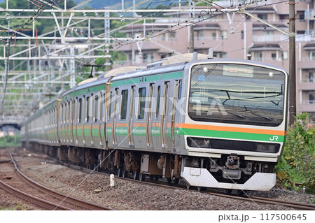 東海道本線　真鶴　JR東日本　E231系1000番台　U109編成（小山） 117500645