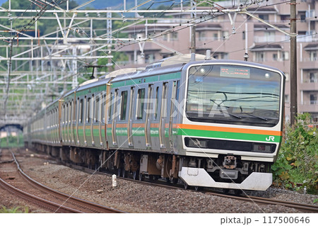 東海道本線　真鶴　JR東日本　E231系1000番台　U115編成（小山） 117500646