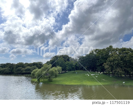 景色 風景 雲 117501119