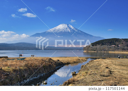 【山梨県】山中湖から眺める冬の富士山 117501144