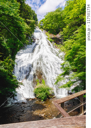 夏の緑に映える滝 117501734
