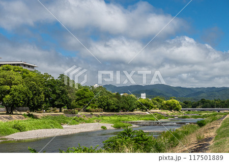 真夏の京都鴨川風景 117501889