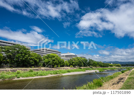真夏の京都鴨川風景 117501890