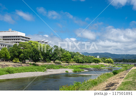 真夏の京都鴨川風景 117501891