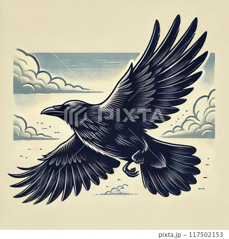 飛んでいるカラス1 117502153