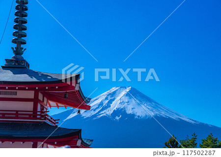 【富士山素材】紅葉時期の新倉山浅間公園【山梨県】 【富士山素材】紅葉時期の新倉山浅間公園【山梨県】 117502287
