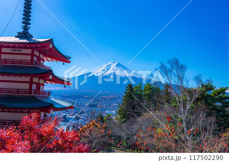【富士山素材】紅葉時期の新倉山浅間公園【山梨県】 【富士山素材】紅葉時期の新倉山浅間公園【山梨県】 117502290