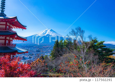 【富士山素材】紅葉時期の新倉山浅間公園【山梨県】 【富士山素材】紅葉時期の新倉山浅間公園【山梨県】 117502291