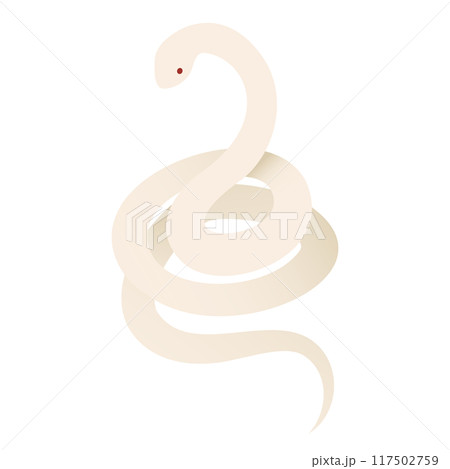 とぐろを巻いた白蛇のベクターイラスト 117502759