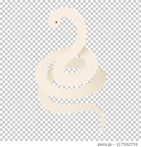 とぐろを巻いた白蛇のベクターイラスト 117502759