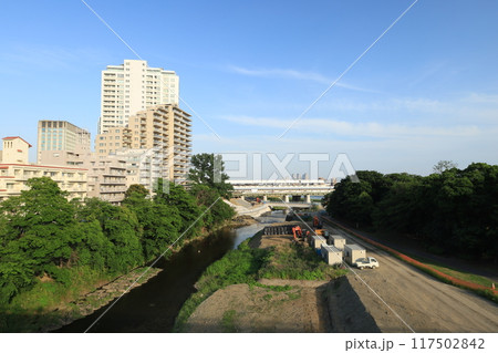 多摩川の河川敷から見る二子玉川駅周辺の風景 多摩川の河川敷から見る二子玉川駅周辺の風景 117502842