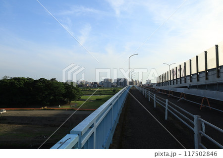 多摩川の河川敷から見る二子玉川駅周辺の風景 117502846