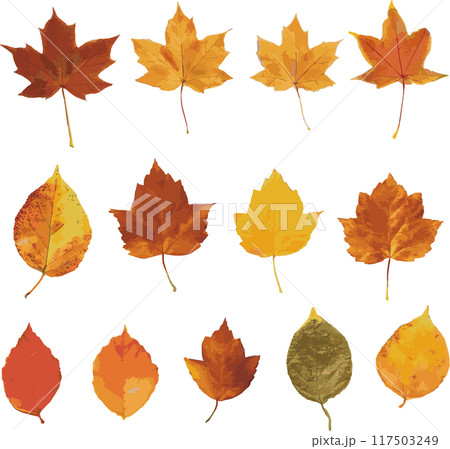 秋　紅葉　枯葉　落ち葉　葉　水彩　イラスト素材セット 117503249
