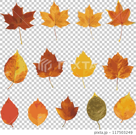 秋　紅葉　枯葉　落ち葉　葉　水彩　イラスト素材セット 117503249