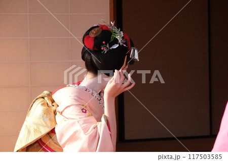 舞妓 117503585