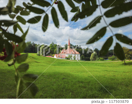 Amazing summer landscape with an old Maltese Palace. Gatchina. Amazing summer landscape with an old Maltese Palace. Gatchina. 117503870