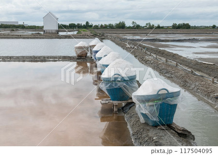 Salt in basket at evaporation pond farm, Samut Songkhram, Thailand 117504095