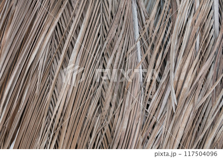 Dry palm leaf for textured background 117504096