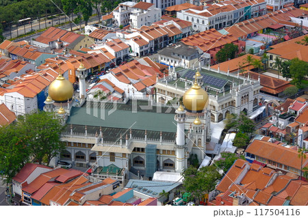 アラブ街とスルタンモスク 117504116