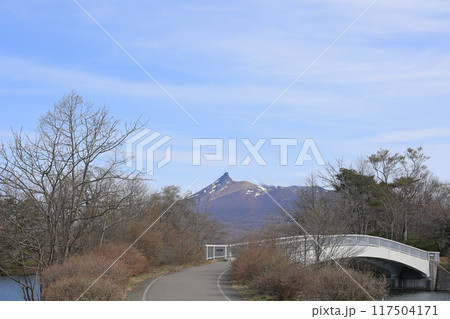 4月の北海道・大沼公園 117504171