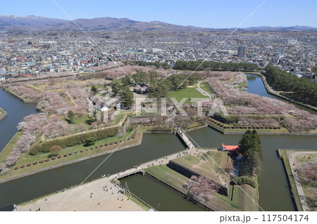 春の函館・五稜郭公園 春の函館・五稜郭公園 117504174