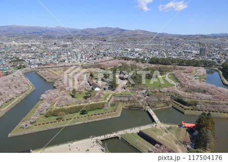 春の函館・五稜郭公園 春の函館・五稜郭公園 117504176