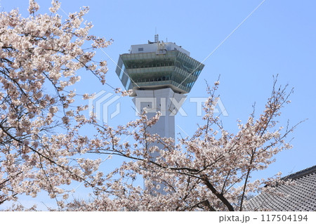 春の函館・五稜郭公園 春の函館・五稜郭公園 117504194