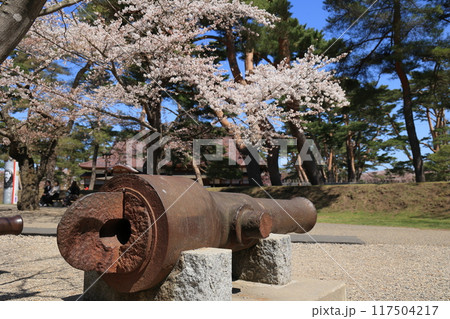 春の函館・五稜郭公園 117504217