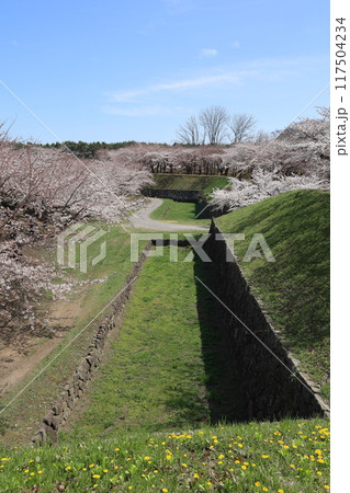 春の函館・五稜郭公園 117504234