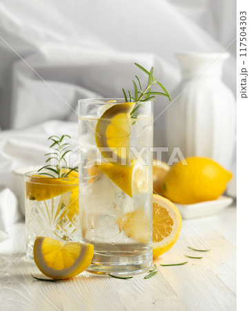 Summer refreshing drink or alcoholic cocktail with ice, rosemary and lemon slices. 117504303