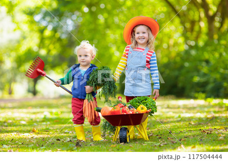 Kids picking vegetables on organic farm Kids picking vegetables on organic farm 117504444