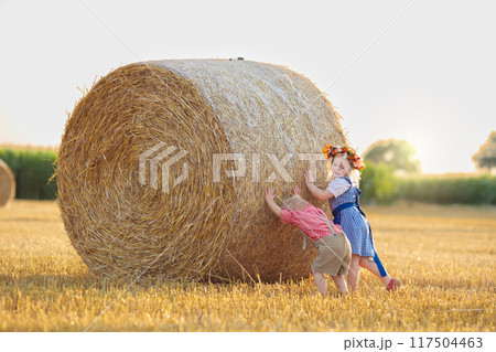 Child in wheat field with German bread 117504463