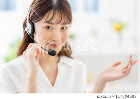 テレワークでオンラインミーティングをする若い女性 117504688
