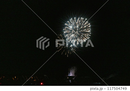 月あかりの夜空に舞う花火 月あかりの夜空に舞う花火 117504749